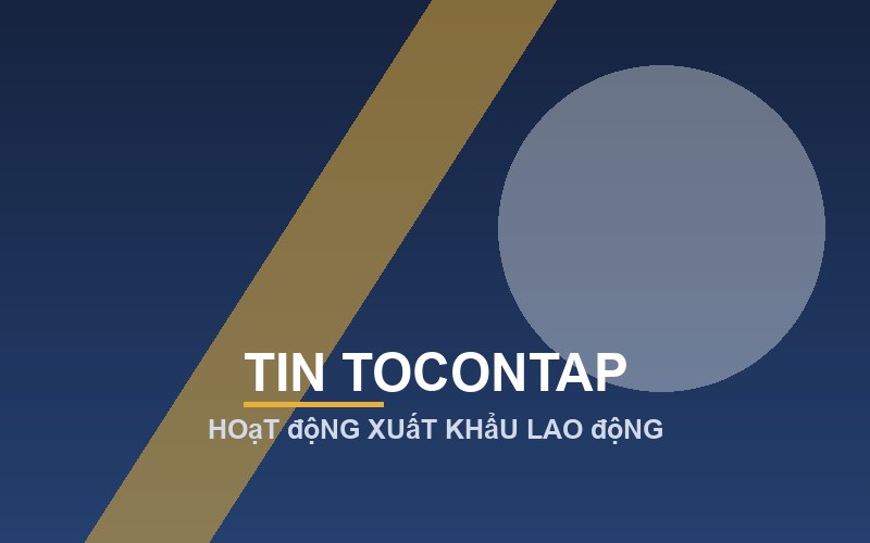 TOCONTAP Sài Gòn tiếp tục đạt danh hiệu Doanh nghiệp VAMAS 6 sao lần thứ 2