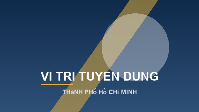 Lập trình viên Hệ thống nội bộ (ERP)